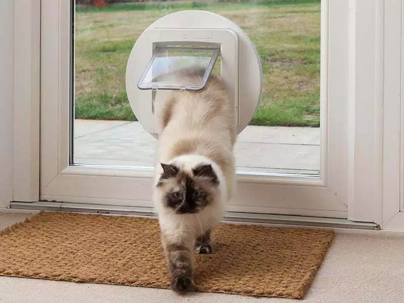Let the Cat In: The Complete Guide to Installing a Cat Flap in a Glass Door
